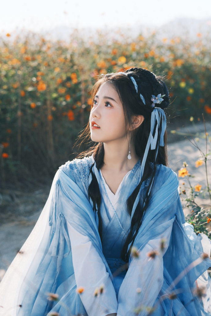 甄嬛传